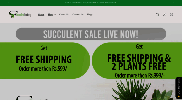 succulentfactory.com