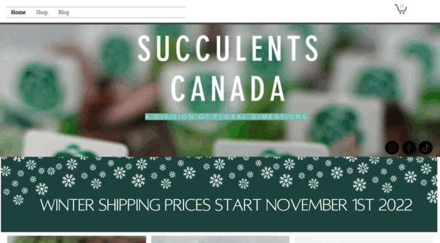 succulents.ca