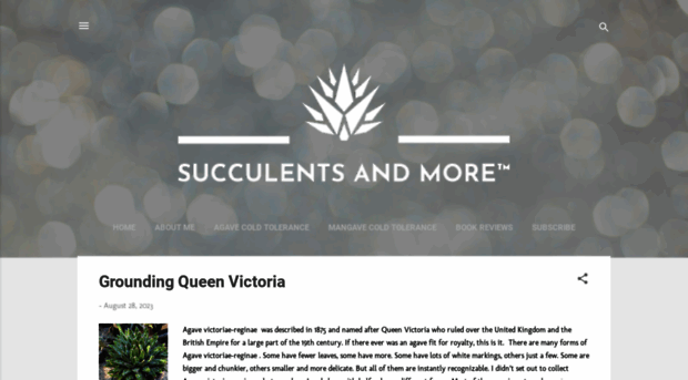 succulentsandmore.com