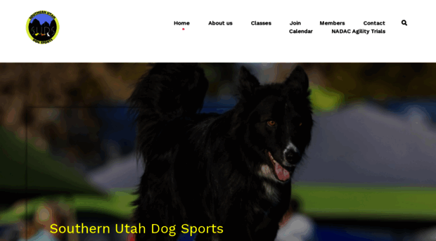 sudogsports.com