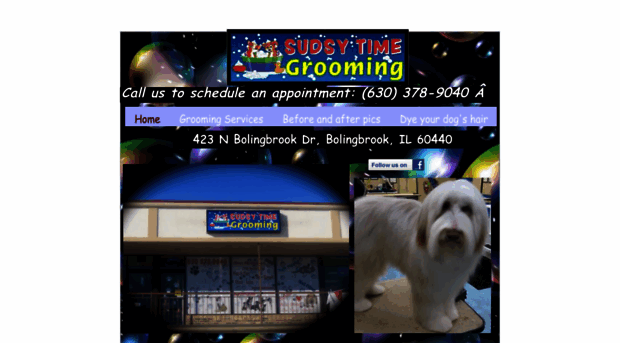 sudsytimegrooming.com