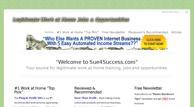 sue4success.com