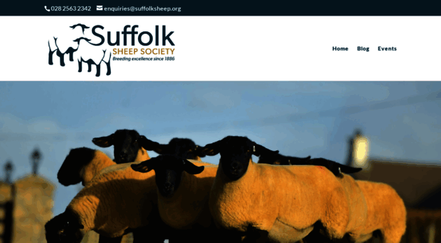 suffolksheep.org