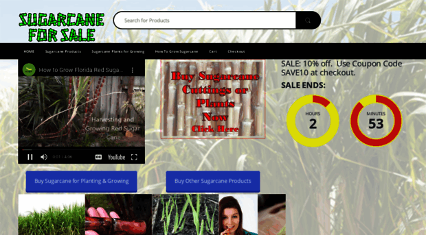 sugarcaneforsale.com