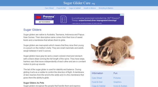 sugarglidercare.org