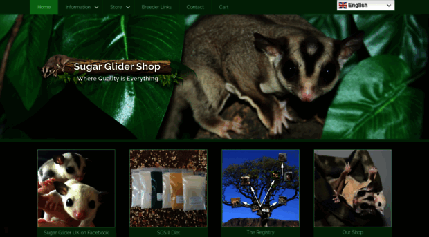 sugarglidershop.co.uk