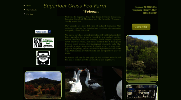 sugarloafgrassfedfarm.com