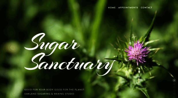 sugarsanctuary.com