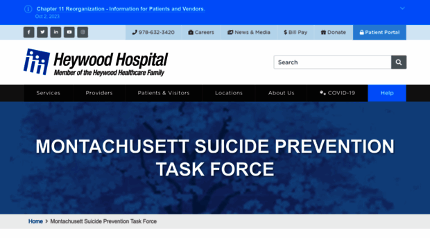 suicidepreventiontaskforce.org