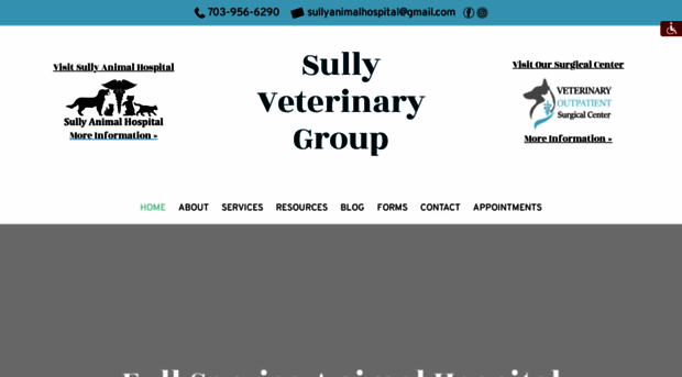 sullyanimalhospital.com