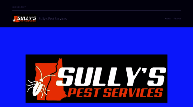 sullyspestservices.com