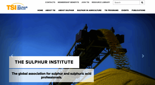 sulphurinstitute.org