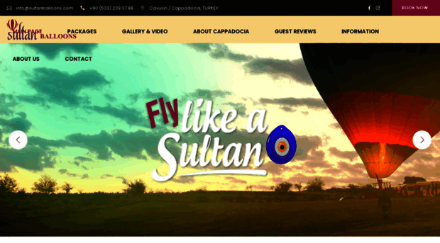 sultanballoons.com