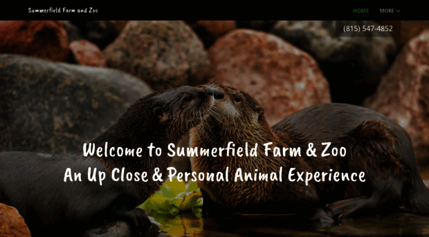 summerfieldfarmandzoo.com