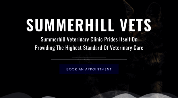 summerhillvets.ie