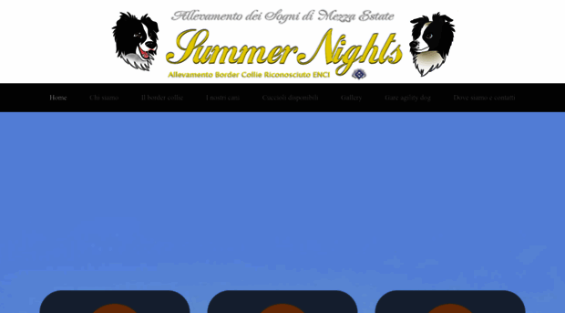 summernightsbordercollie.com