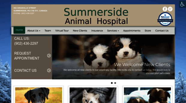 summersideanimalhospital.com