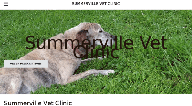 summervillevetclinic.com