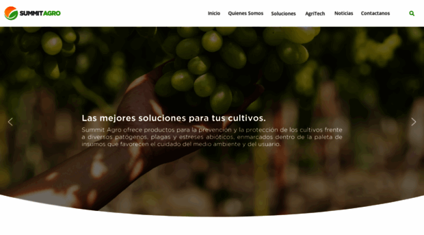 summit-agro.cl