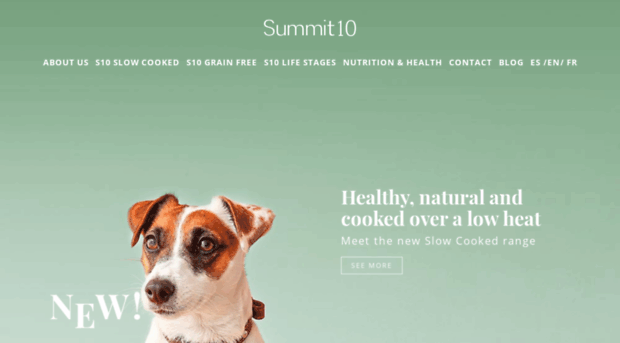 summit10.com