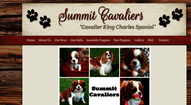 summitcavaliers.com