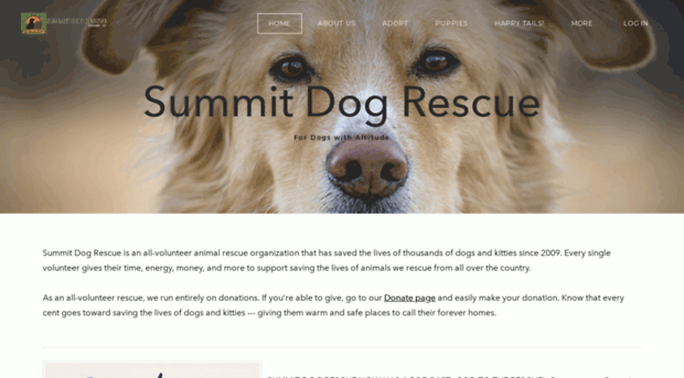 summitdogrescue.org