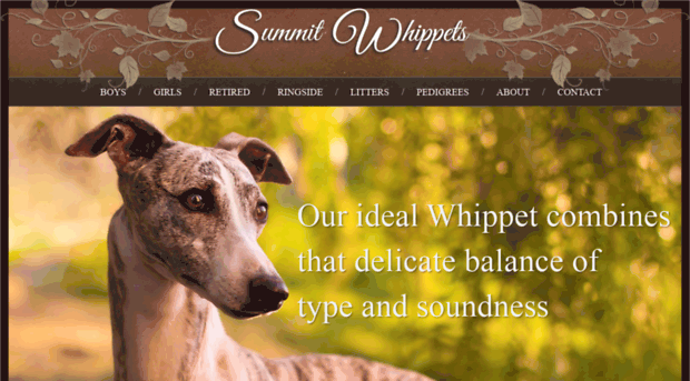 summitwhippets.com