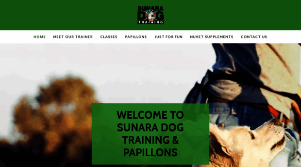 sunaradogtraining.com