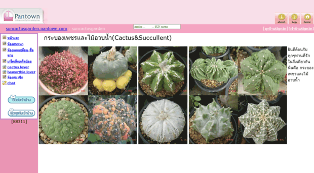 suncactusgarden.pantown.com