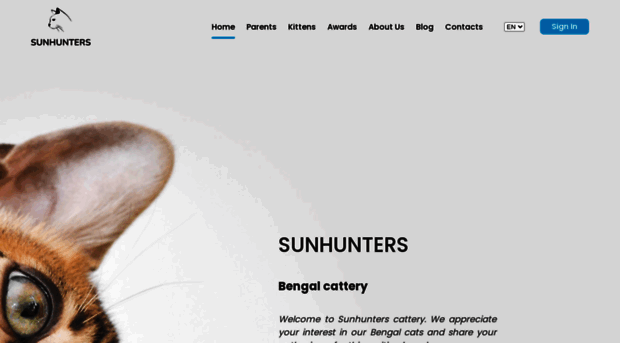 suncattery.com