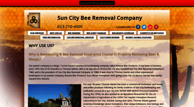 suncityazbeeremoval.com