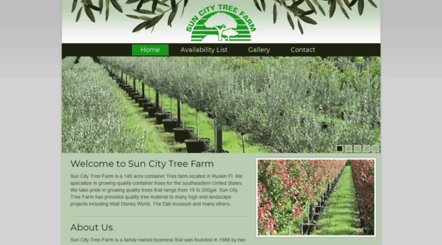 suncitytrees.com