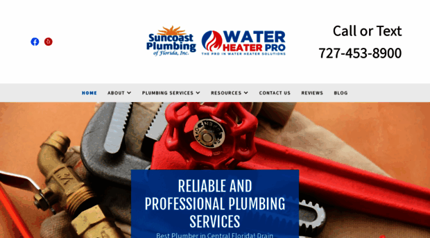 suncoastplumbingservices.com