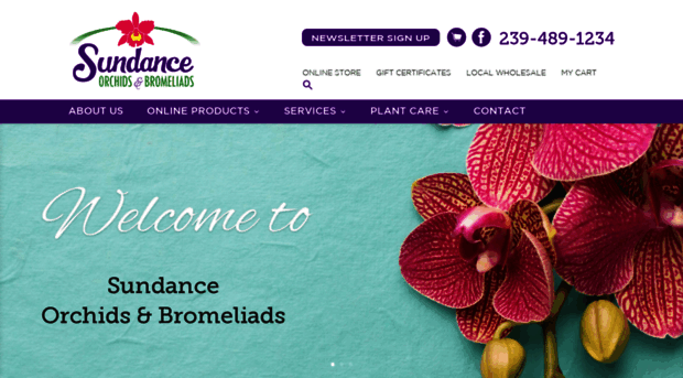 sundanceorchids.com