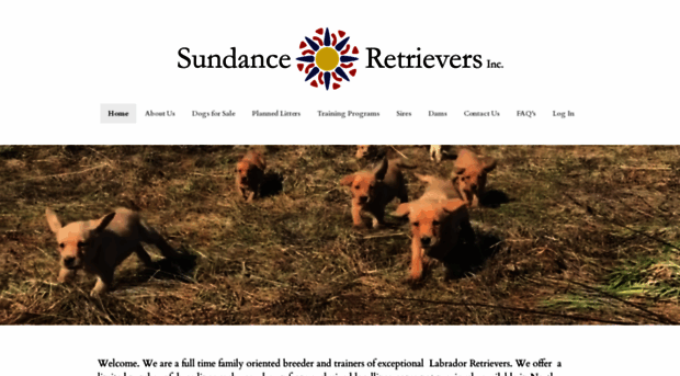 sundanceretrievers.com