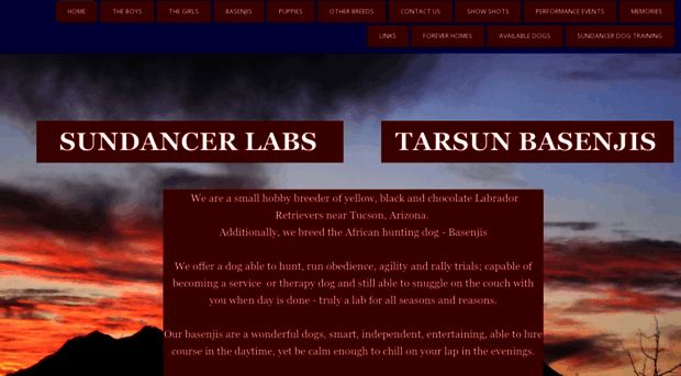 sundancerlabs.com