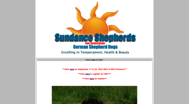 sundanceshepherds.com