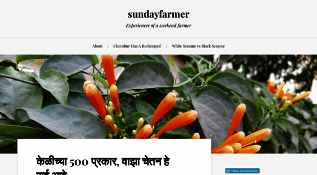 sundayfarmer.wordpress.com