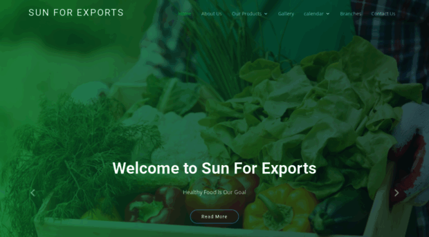 sunexport-eg.com