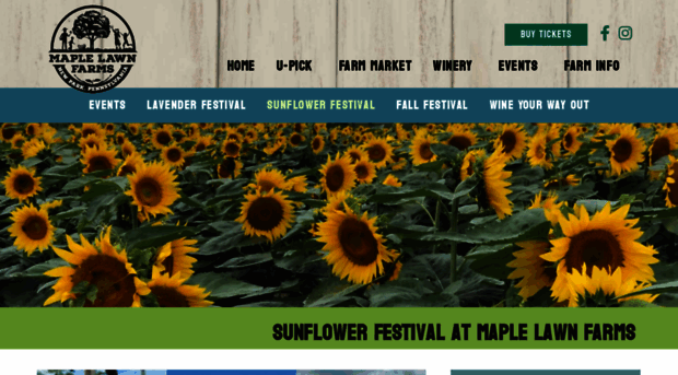 sunflowerfestivalpa.com