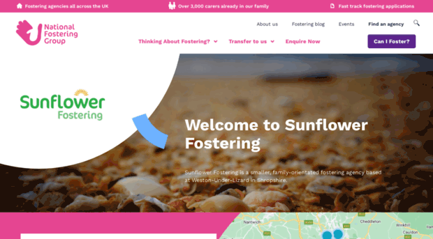 sunflowerfostering.co.uk