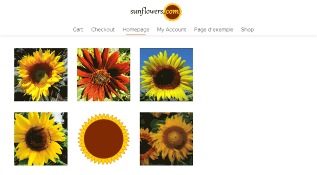 sunflowers.com