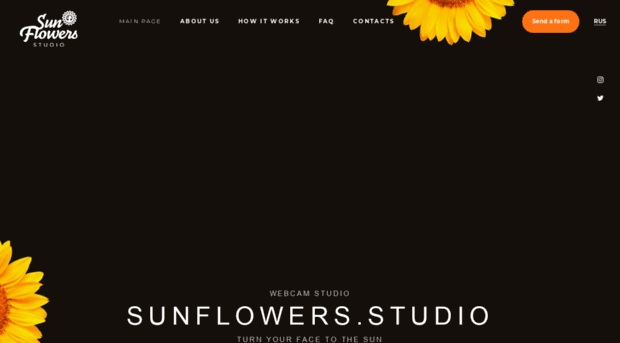 sunflowers.studio