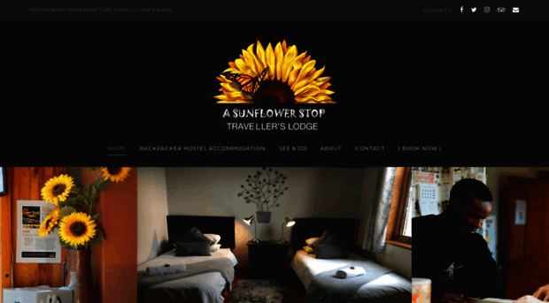 sunflowerstop.co.za