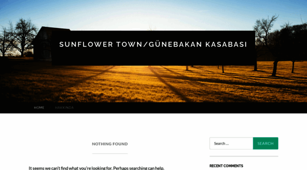 sunflowertown.wordpress.com