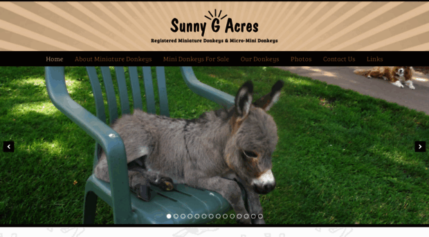 sunnygacres.com