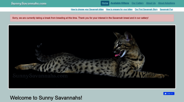 sunnysavannahs.com