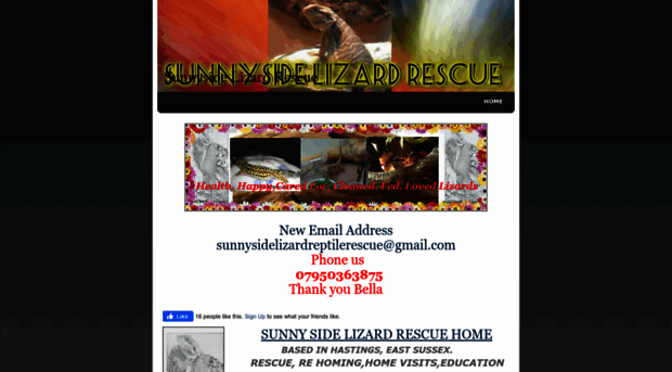 sunnysidelizardrescue.weebly.com