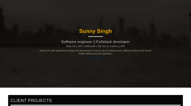 sunnysingh.in