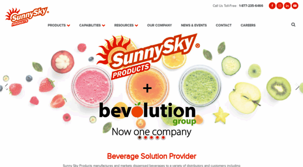 sunnyskyproducts.com